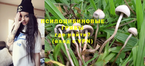 спайс Алзамай